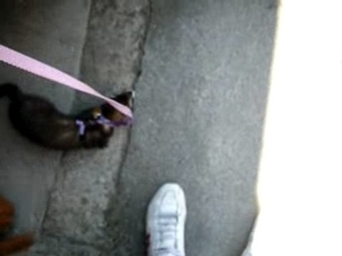 Laissez moi rentrer!!