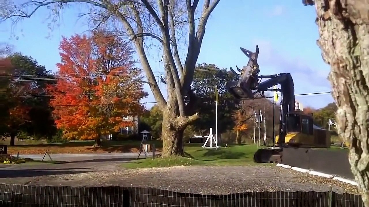 Amazing tree cutting machine, Tree trimming equipment, Tree removal machine, Tree relocation 2016