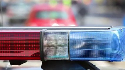 10 Fast And Furious Kid Drivers