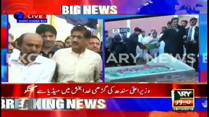 Murad Ali Shah offer a job for IK