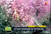 Loreto: denuncian octavo derrame de petróleo