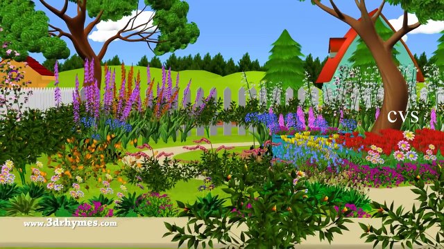 Surprise Eggs Color Songs Learn colours 3D Egg colors Nursery Rhymes & Songs for children !