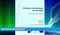 READ book  Cinema Numerique En Europe: L etat Des Lieux De La Transition (European Audiovisual