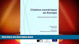 READ book  Cinema Numerique En Europe: L etat Des Lieux De La Transition (European Audiovisual