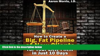 FREE PDF  How to Create a Big, Fat Pipeline of New Clients for Your Law Firm in Just 10 Days