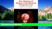 Must Have  The Making of Modern Intellectual Property Law (Cambridge Intellectual Property and