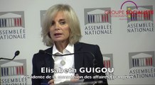 Elisabeth Guigou donne la parole aux casques blancs syriens