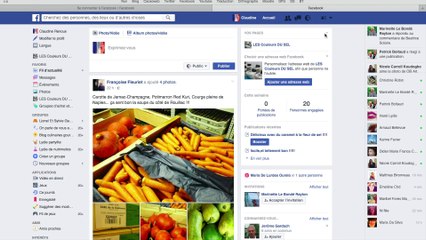 Facebook : les publications