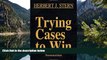 READ NOW  Trying Cases to Win Vol. 4: Summation  Premium Ebooks Online Ebooks