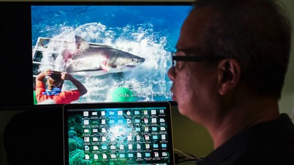 Buzo que sobrevivió a ataque de tiburón blanco: “son adorables”