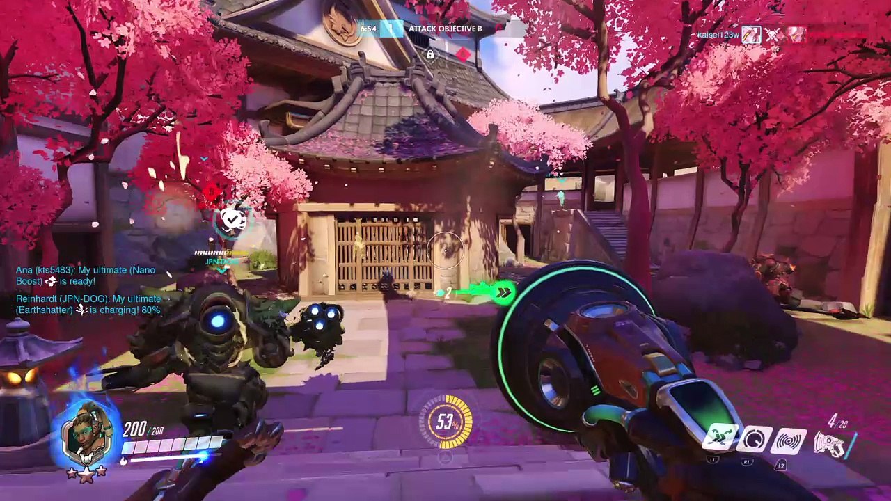 Overwatch　野生の奴隷