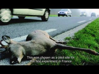 Redevelopment of ecological networks in Isère : Wildlife detectors (first stop)