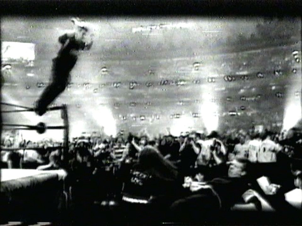 WWF Don't Try This At Home Advert