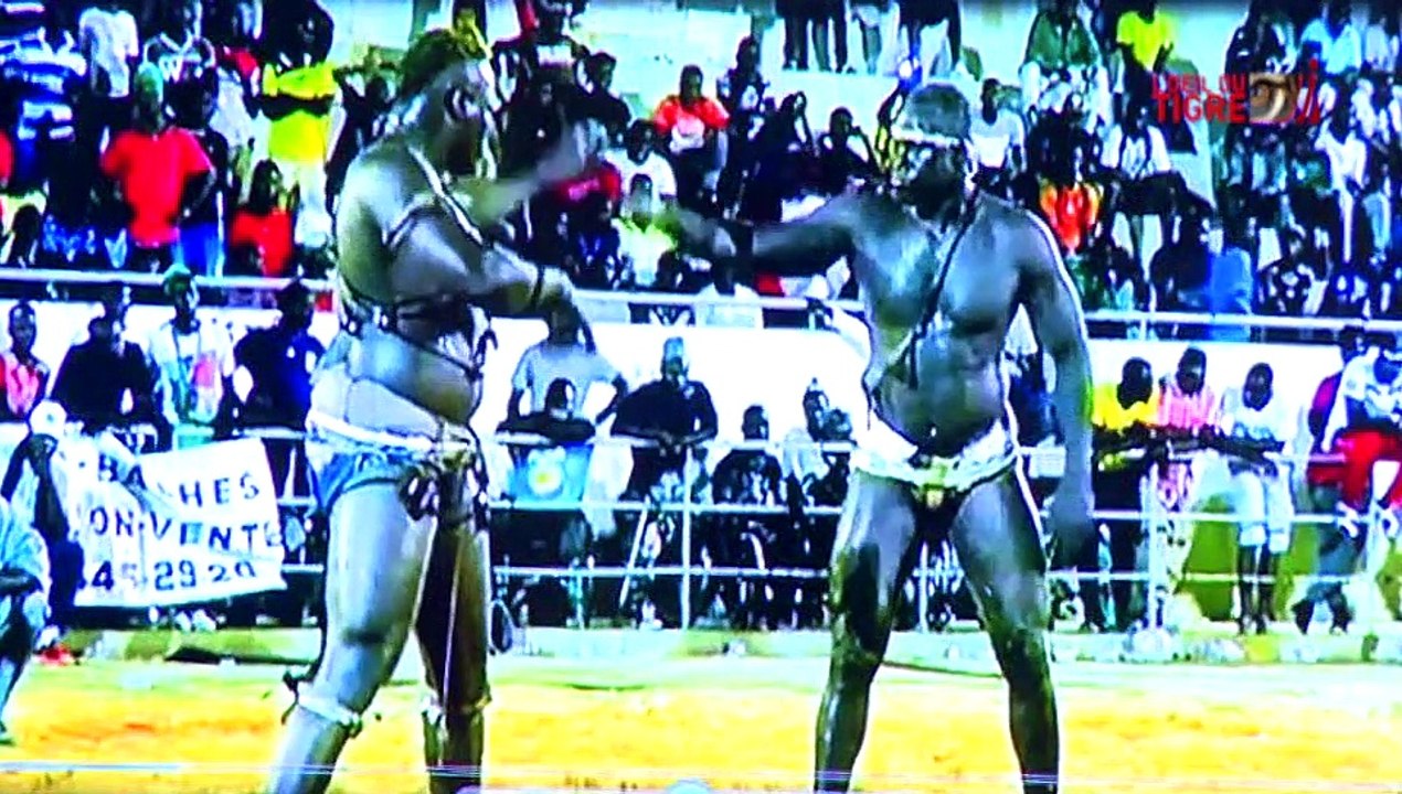 REPLAY - L' oeil du Tigre du 18 Octobre 2016 - Présentation : Moustapha Gueye et Fama Thioune