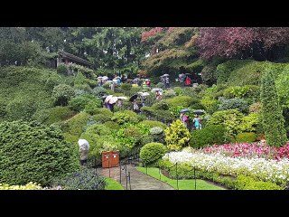 Butchart Gardens, Victoria, B.C., Canada (2016) - Film Clip (Documentary)