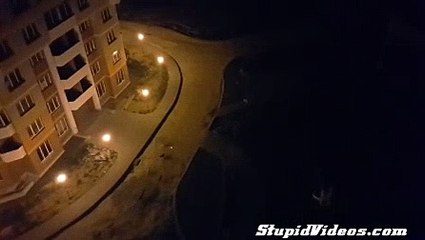 Laser Pointer vs Pack of Stray Dogs | Videos Global