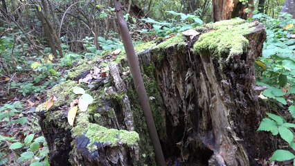 ΠΕΡΠΑΤΩΝΤΑΣ ΜΕΣΑ ΣΤΑ ΦΘΙΝΟΠΩΡΙΝΑ ΜΟΝΟΠΑΤΙΑ ΤΟΥ ΓΡΑΝΙΤΗ