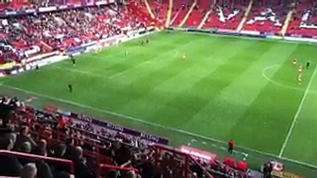 Des supporters anglais interrompent un match en lançant 3.000 cochons en plastique