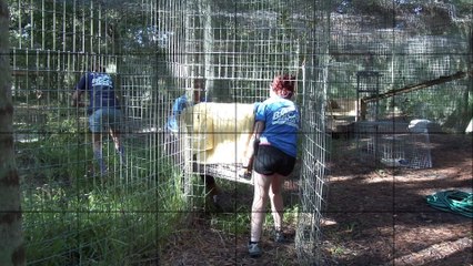 6 Exotic Cats Rescued!