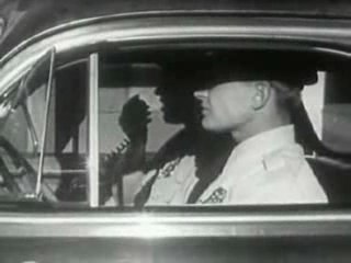 Running Moonshine on Highway 9