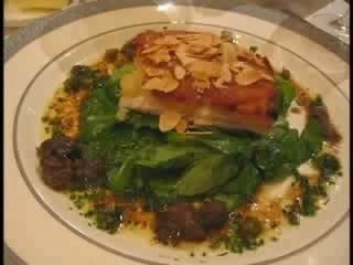 Vlog Soup - Fearless Cooking Pigeons