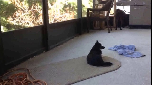 Cynthia Peterson of Apollo Beach Florida