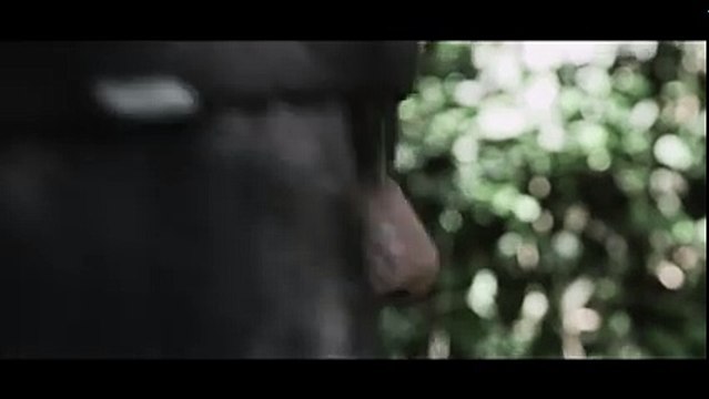 Bastard prod - Introduction (Prod׃ Crown)