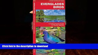 READ  Everglades Birds: A Folding Pocket Guide to Familiar Species (Pocket Naturalist Guide