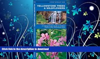 READ BOOK  Yellowstone Trees   Wildflowers: A Folding Pocket Guide to Familiar Species of the