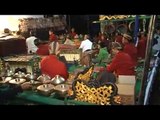 Wayang Kulit Central Java kids Mastermind part 14