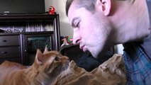 Does YOUR Cat Like Kisses