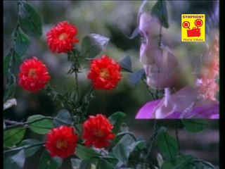 Pattu Vanna Selai Kaari