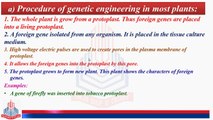 Genetic Engineering of Plants, Genetic Engineering in Cereals, Foreign Gene, Particle Gun, Biotechnology Products