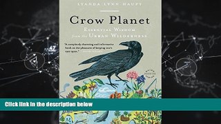 Pdf Online Crow Planet: Essential Wisdom from the Urban Wilderness