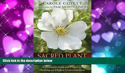 Online eBook Sacred Plant Initiations: Communicating with Plants for Healing and Higher