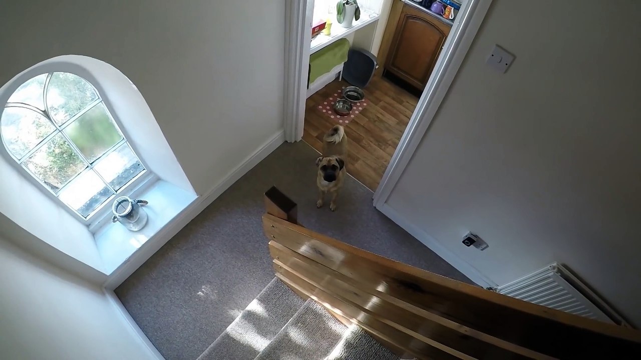 La vraie vie filmée en GoPro... Lol c'est ennuyant haha