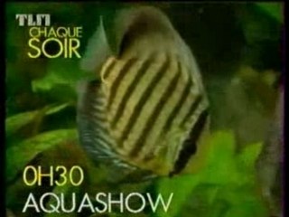 BA TELEMOME ET AQUASHOW  - TLM - 1991