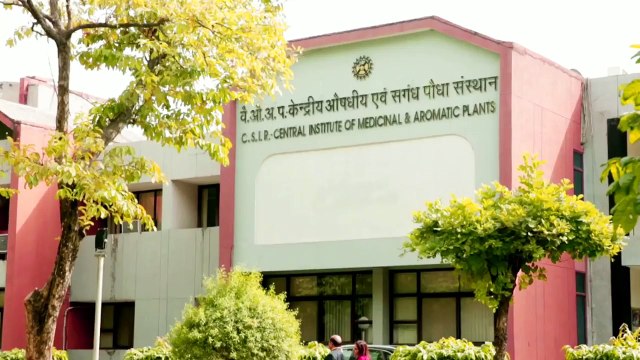 BGR 34 | Anti Diabetic Herbal Medicine For Type 2 Diabetes Mellitus