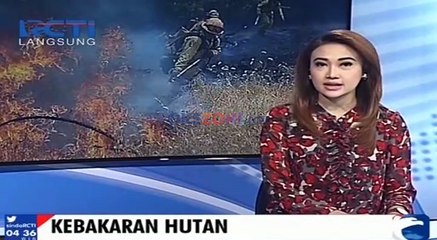 Descargar video: Kebakaran Hutan