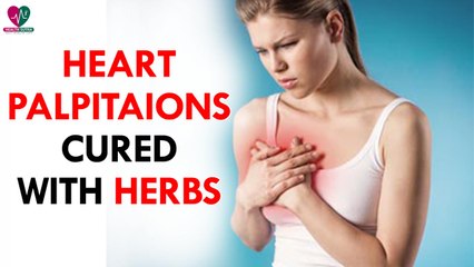 Heart Palpitaions Cured with Herbs- Health Sutra