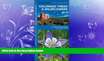 Enjoyed Read Colorado Trees   Wildflowers: A Folding Pocket Guide to Familiar Plants (Pocket