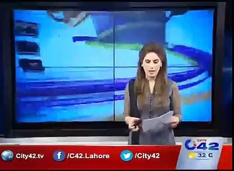 PML Q Intra party elections