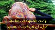 Ajab Pagal Se Larki Hay Mare Khamosh Ankhoon Main....Urdu Poetry