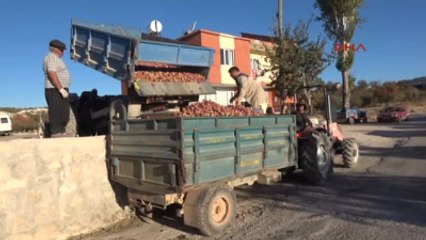 Mersin 10 Kuruşa Meyve Suyu, 50 Kuruşa Birinci Kalite Elma