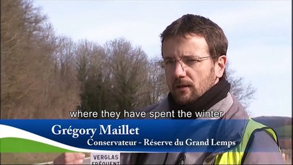 Small Wildlife Crossing in the Grand Lemps Nature Reserve