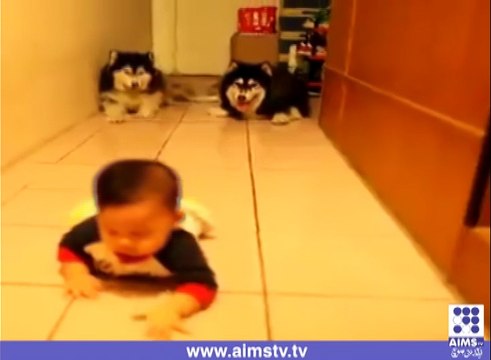 بچے کی نقل کون کر رہا ہے آپ بھی دیکھ کر حیران رہ جائیں گے