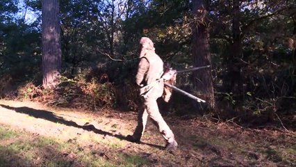 Le brame, la parade du roi de la forêt