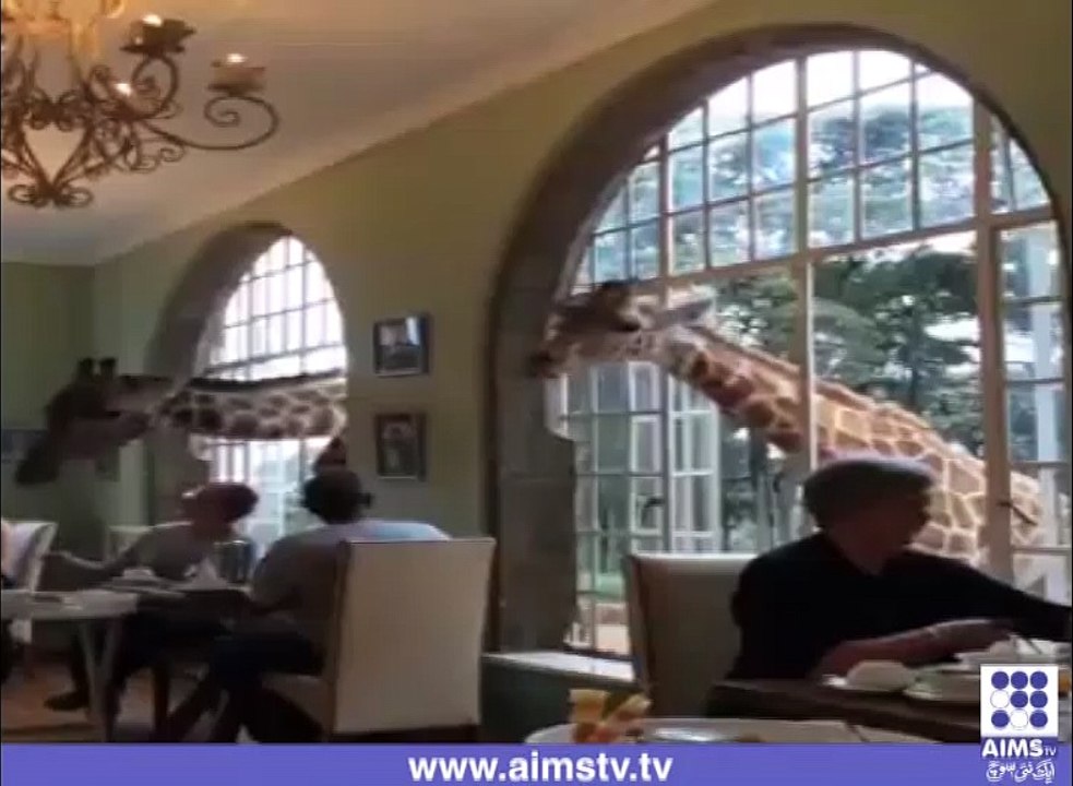 ہوٹل میں زرزفوں کی دعوت