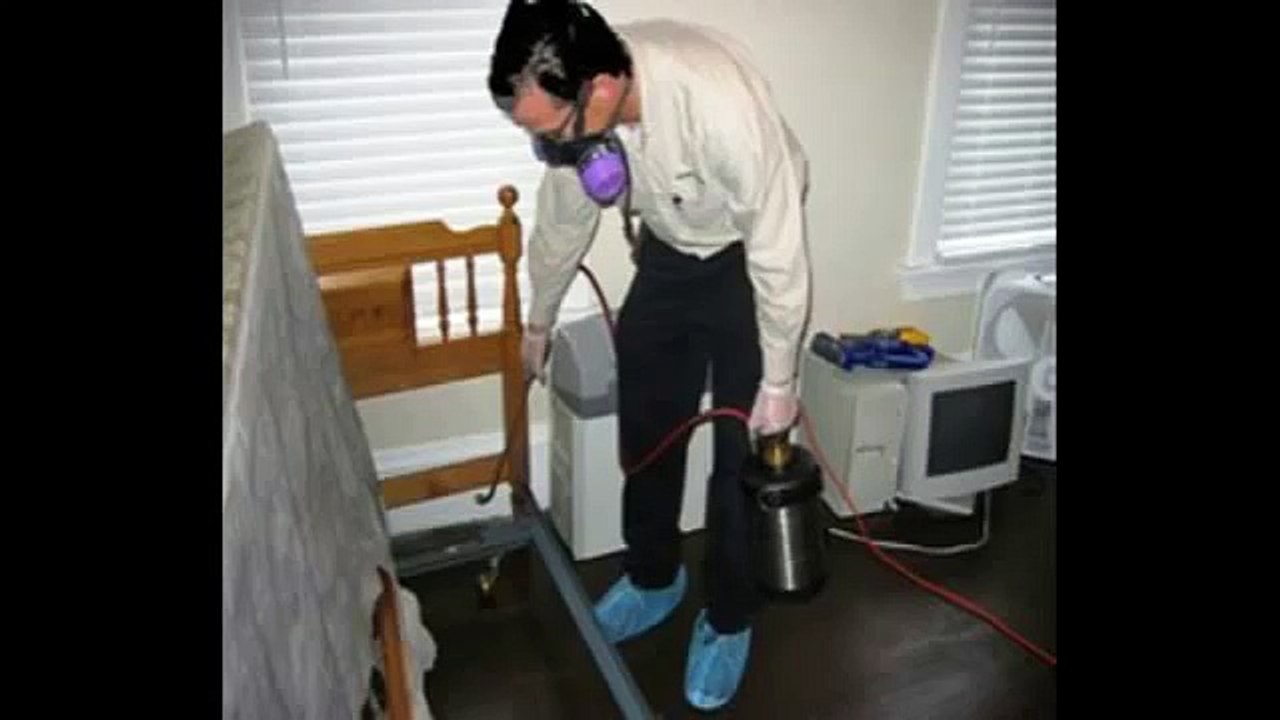 A few tips that will guide you in getting rid of bed bugs