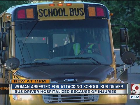 Woman arrested for attacking school bus driver